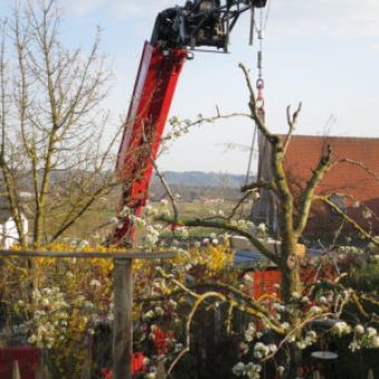 Heinicoop Huehnerstall Tres Lieferung