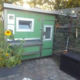 Heinicoop Huehnerstall Tres bei Sascha Winkler Garten und Landschaftsbau