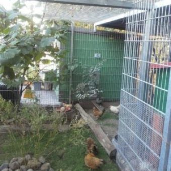 Heinicoop Huehnerstall Tres bei Sascha Winkler Garten und Landschaftsbau
