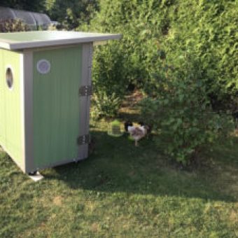 Heinicoop Huehnerstall Cero Maxi
