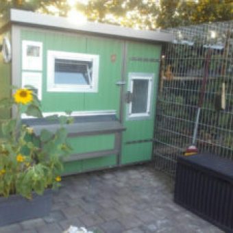 Heinicoop Huehnerstall Tres bei Sascha Winkler Garten und Landschaftsbau
