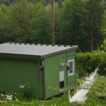 Heinicoop Huehnerstall Tres