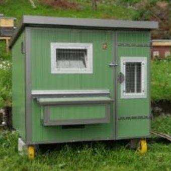 Heinicoop Huehnerstall