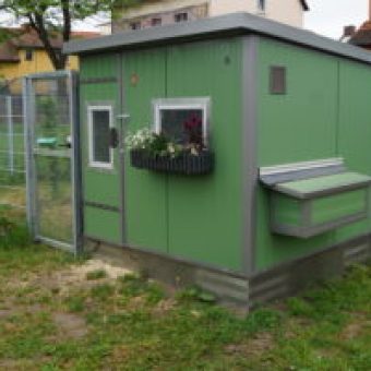 Huehnerstall Tres im Garten mit Blumen
