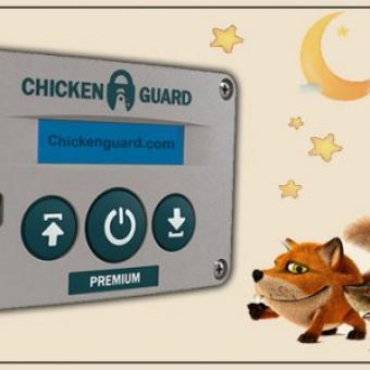 Automatische-Huehnerklappe-Chickenguard