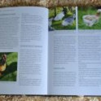 Buch-Huehnerhaltung
