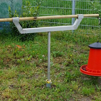 Huehner mit Futterautomat im Garten fuettern