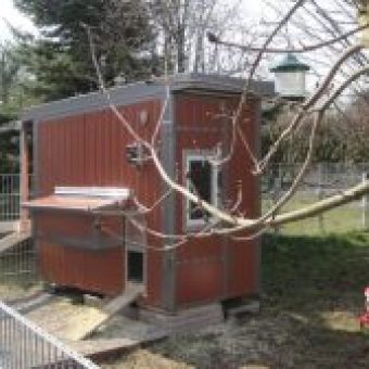 Huehnerstall im Garten