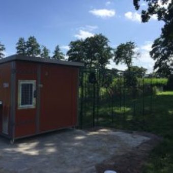 Huehnerstall Tres im Sommer