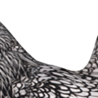 Heinicoop Huhn