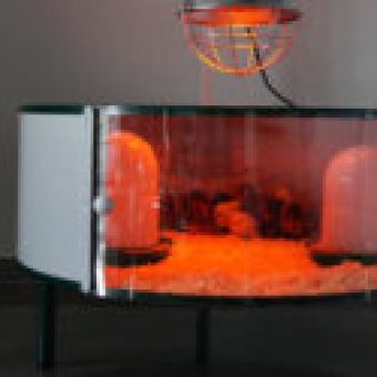 Kuekenheim fuer die Aufzucht von Kueken ohne Glucke - mit Waermelampe