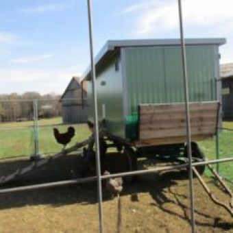mobiler Huehnerstall